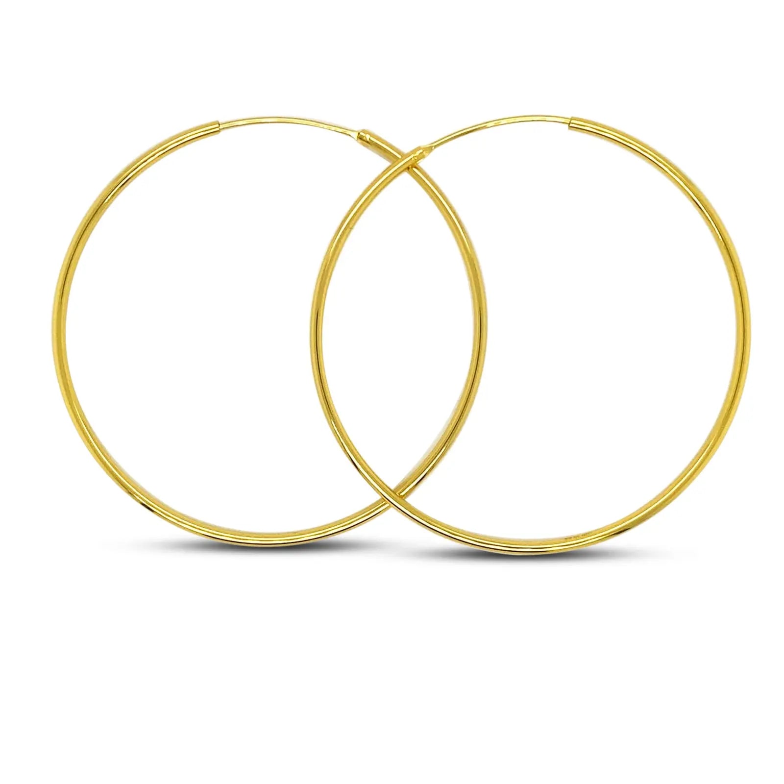 Large Aqua Net Hoops Anna Zuckerman